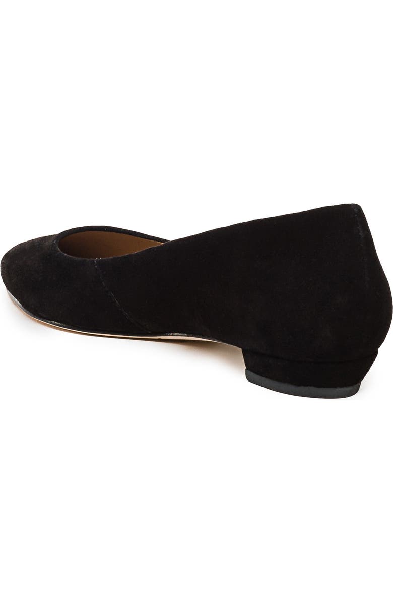 Bernardo Footwear Fritz Pointed Toe Flat, Alternate, color,