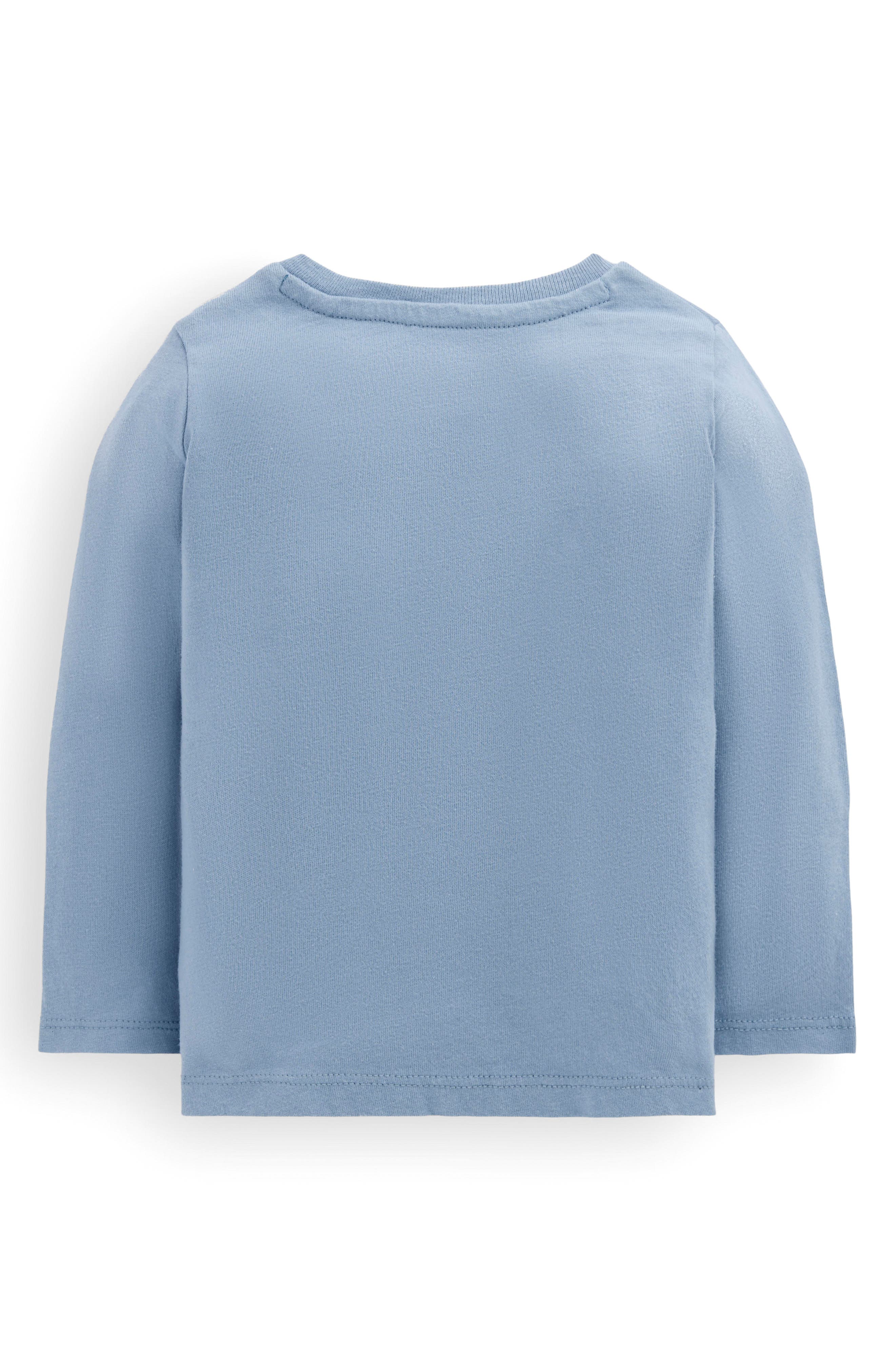 selected FRENCH BLUE DUCK