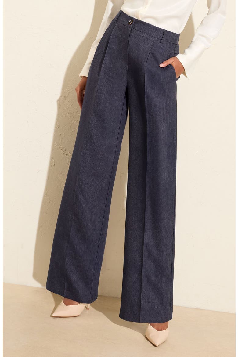 Pleated Wide Leg Pants, Alternate, color, BLUE