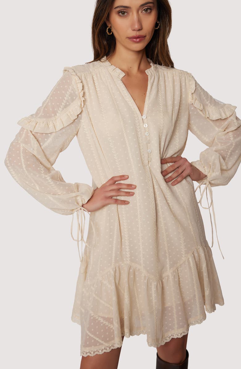 Lost + Wander Poetry in Bloom Embroidered Long Sleeve Trapeze Minidress, Alternate, color, Cream