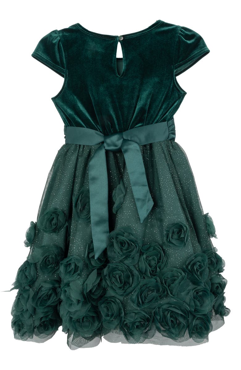 Rare Editions Kids' Velvet Bodice Soutache Party Dress, Alternate, color, Hunter