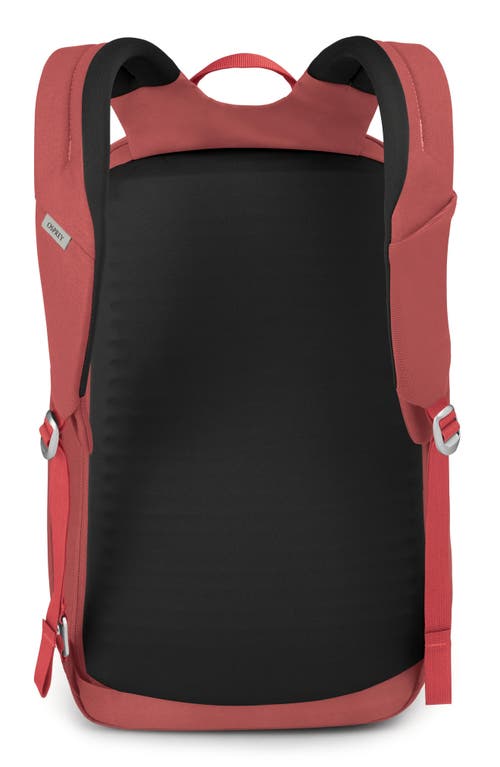 Osprey Arcane Water Repellent Xl 28-liter Daypack In Red