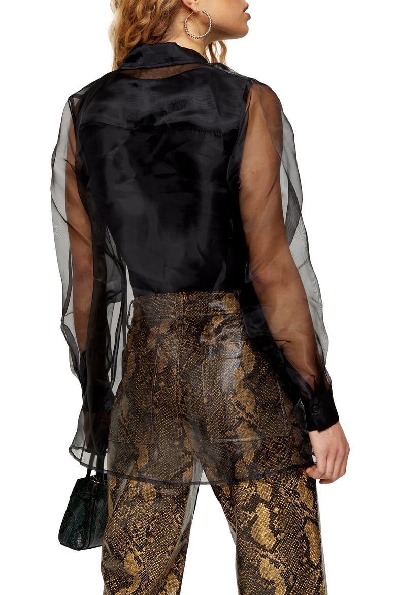 Oversize Sheer Organza Shirt, Alternate, color, BLACK