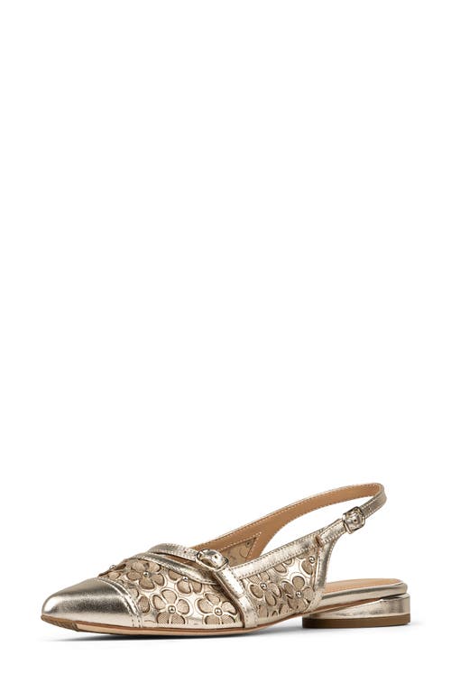 Shop Donald Pliner Pointed Toe Slingback Flat In Platino