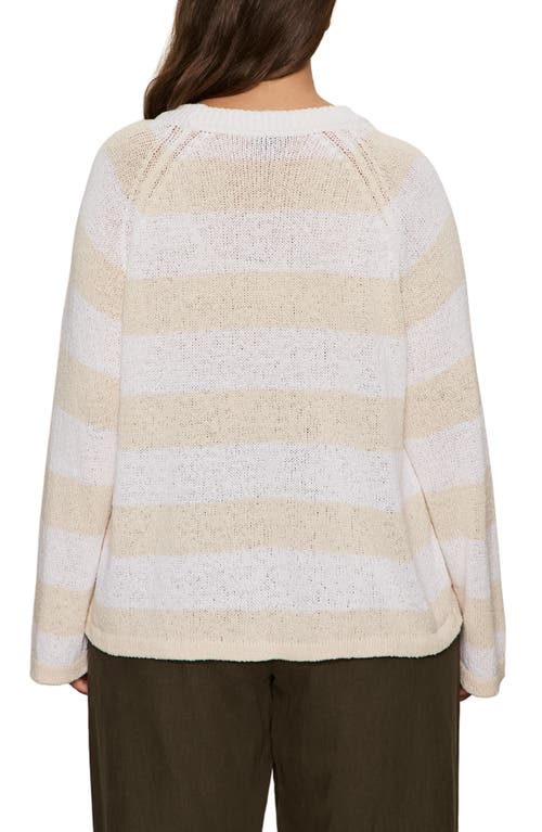Sanctuary Stripe Cotton Blend Sweater In White