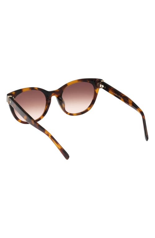 Abercrombie & Fitch 52mm Gradient Cat Eye Sunglasses In Brown