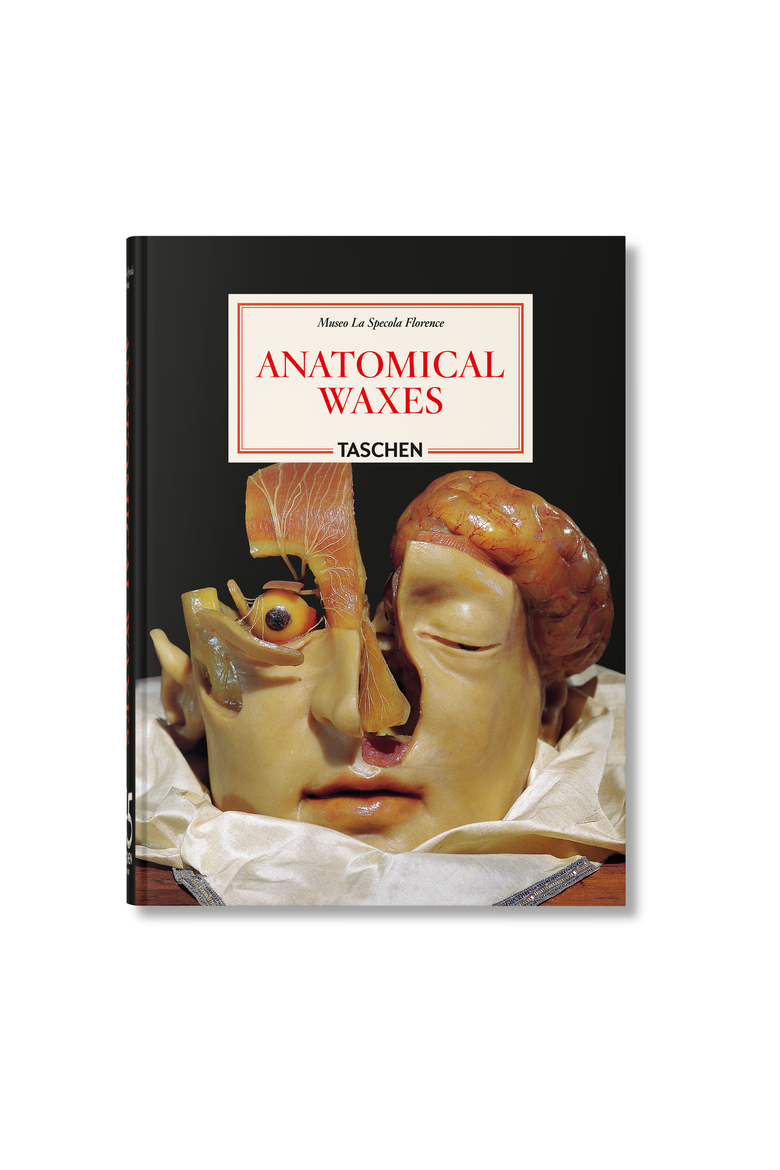 Anatomical Waxes 45th ed Book, Main, color, Black