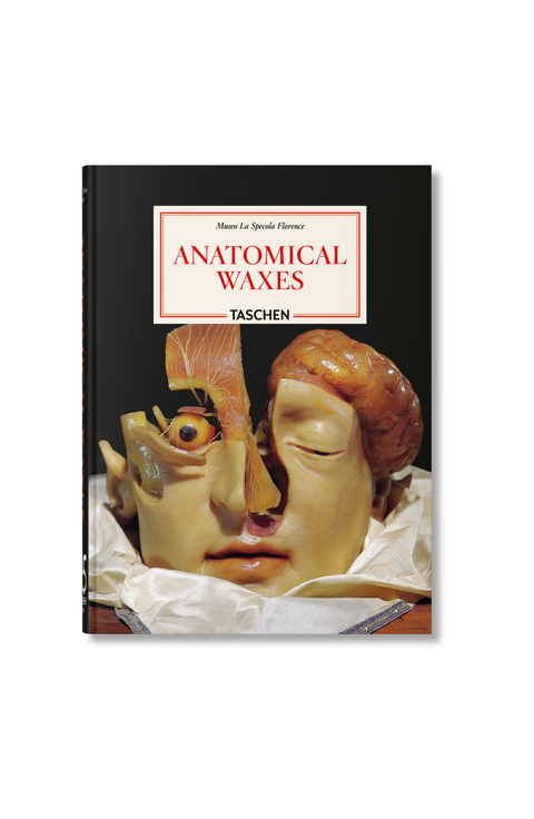 Anatomical Waxes 45th ed Book