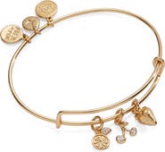Alex and Ani Summer Fruits Charm Bangle