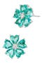 selected Paraiba