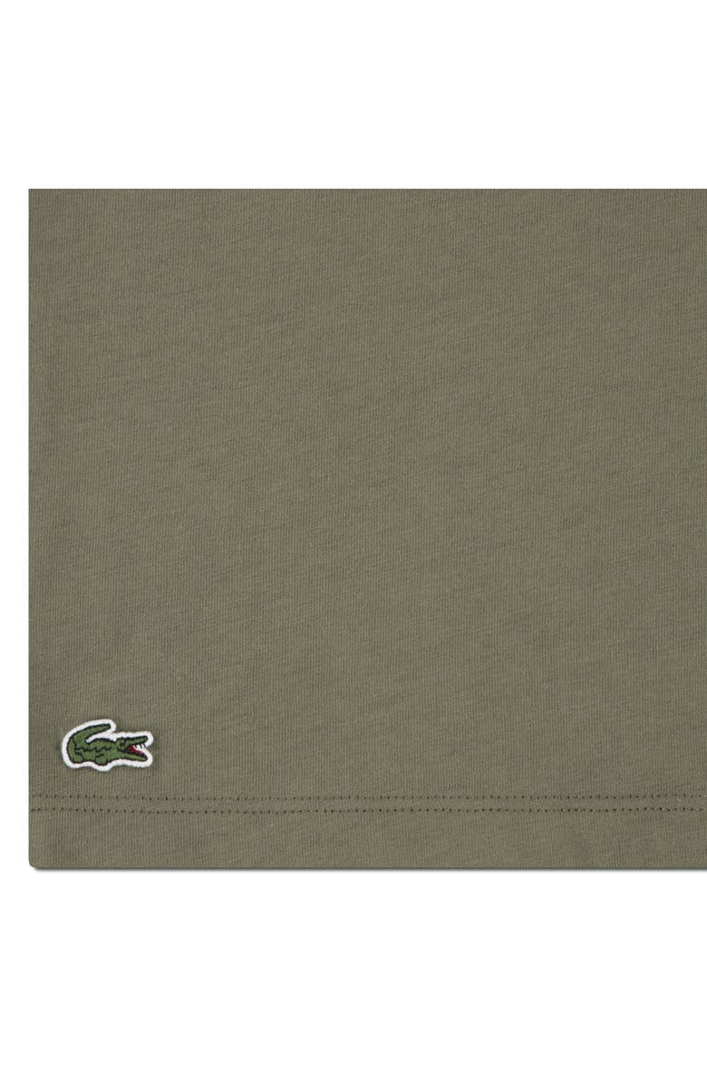 Lacoste Kids' Logo Organic Cotton Graphic T-Shirt, Alternate, color, Lacoste Olive