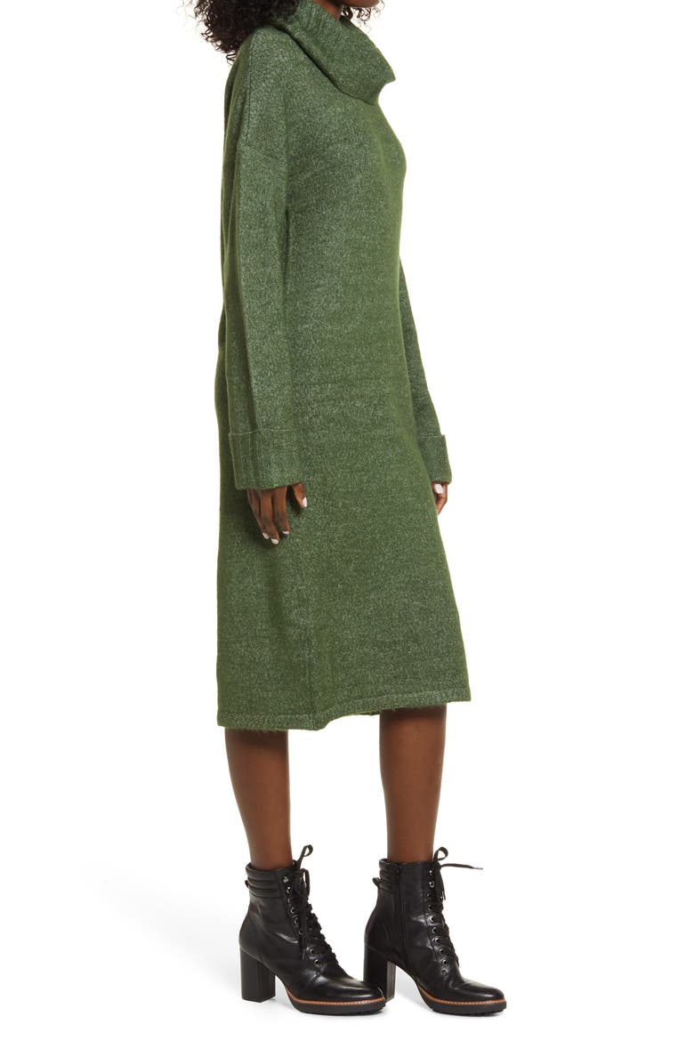 Gaiva Turtleneck Long Sleeve Sweater Dress, Alternate, color, BLACK FOREST