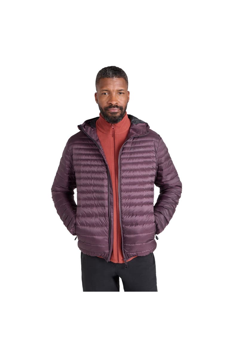 Hybrid Extreme Featherweight Down Filled Hooded Jacket, Alternate, color, Dark Brown