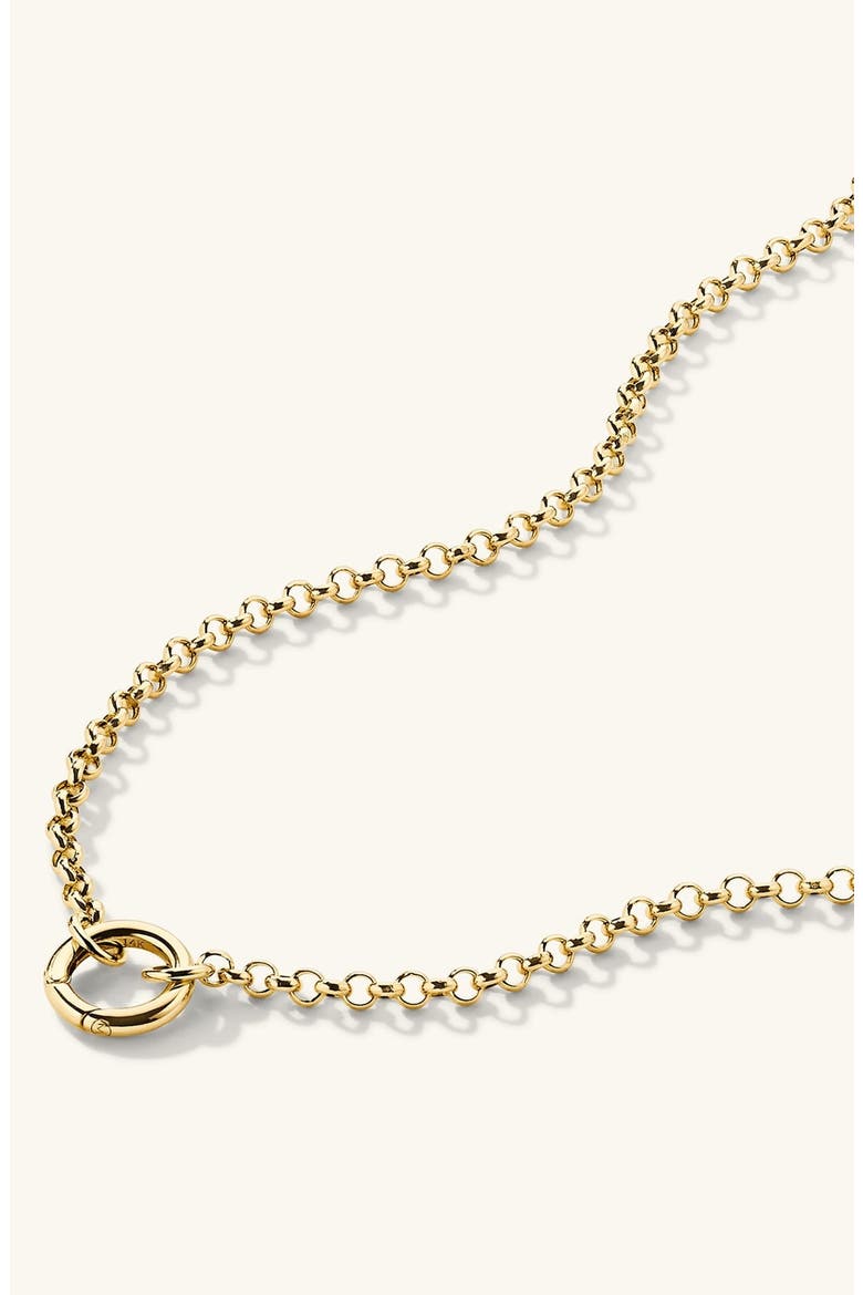 Rolo Chain Charm Necklace, Alternate, color, Yellow Gold