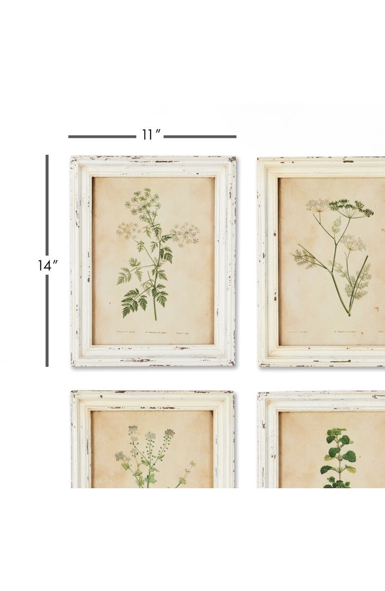 Napa Home & Garden Framed Wild Flower Botanical Prints Set of 12, Alternate, color, Beige