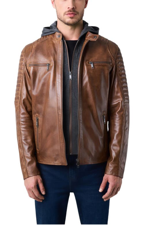 Shop Velez Belmont Leather Jacket For Men With Hood And Chestpiece In Honey