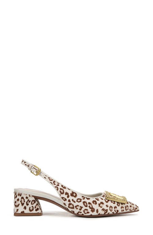 Franco Sarto Racer Slingback Pointed Toe Pump In Cream