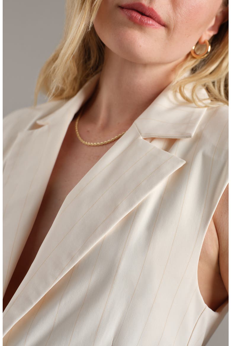 Commuter Sleeveless Blazer, Alternate, color, IVORY PINSTRIPE