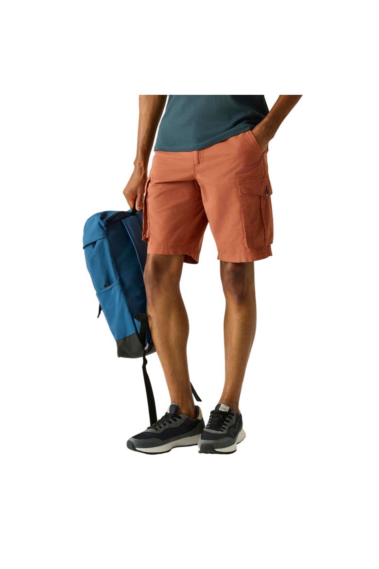 Shorebay II Cargo Shorts, Alternate, color, Brick