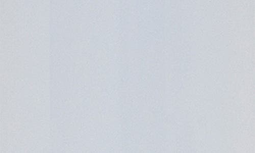 Rochester Premium Shoe & Boot Deodorizer In N/a