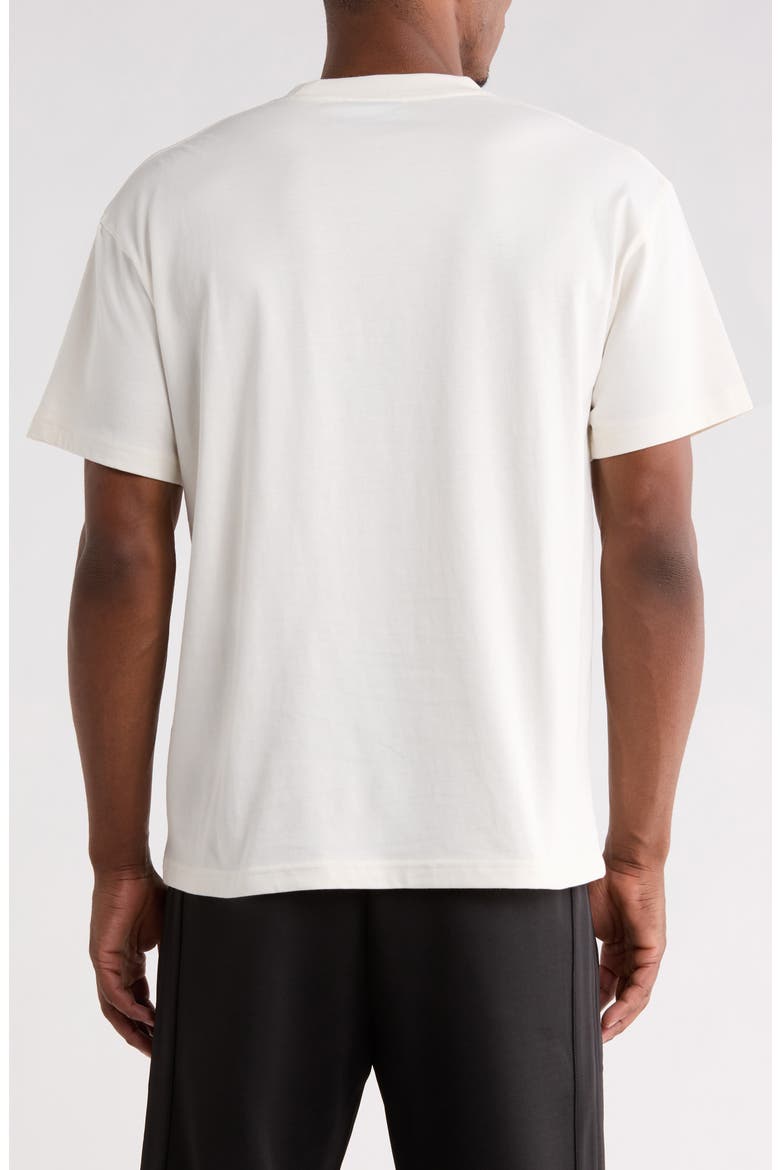 x Oasis Nordique Graphic Cotton T-Shirt, Alternate, color, VTG WHITE