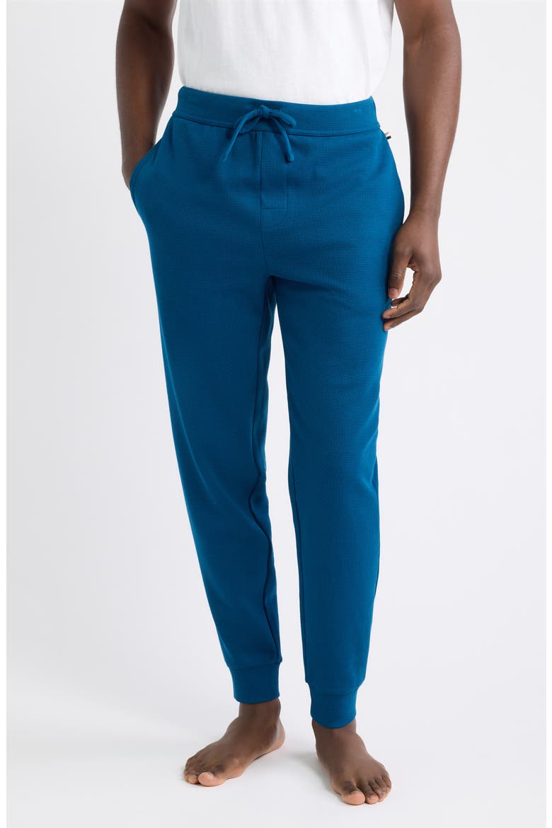 Waffle Knit Jogger Pants, Main, color, TURQUOISE/ AQUA