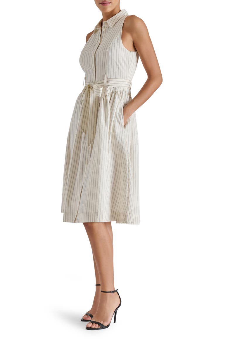 Mary Pinstripe Sleeveless Shirtdress, Alternate, color, CREAM/ BLACK