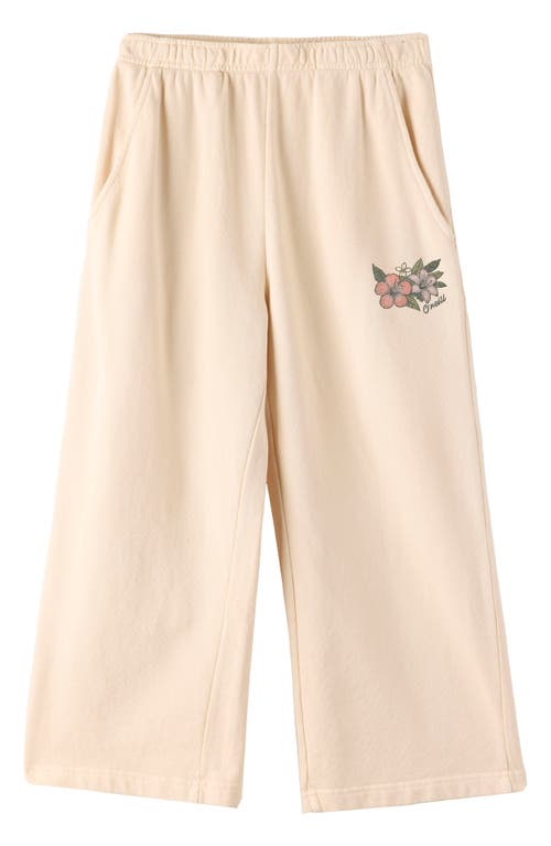 O'neill Kids' Karson Fleece Graphic Sweatpants In Neutral