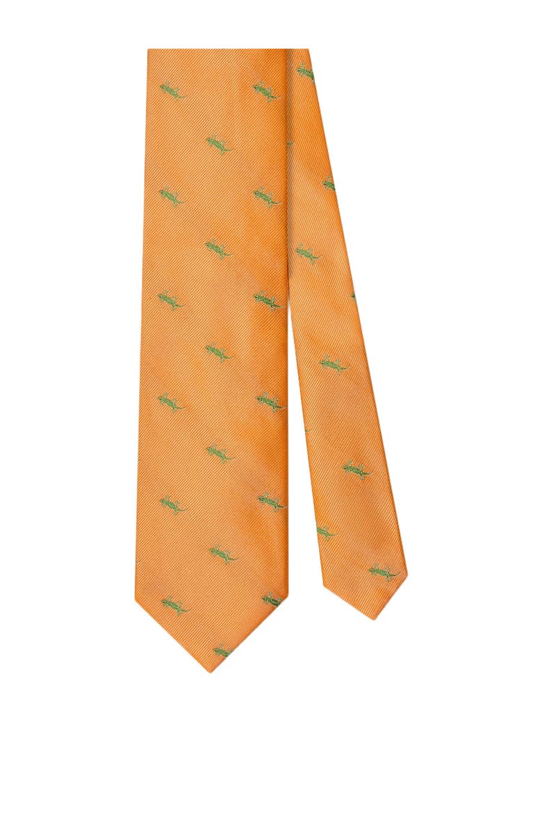 Robert Newt Best of Class Necktie, Main, color, Orange