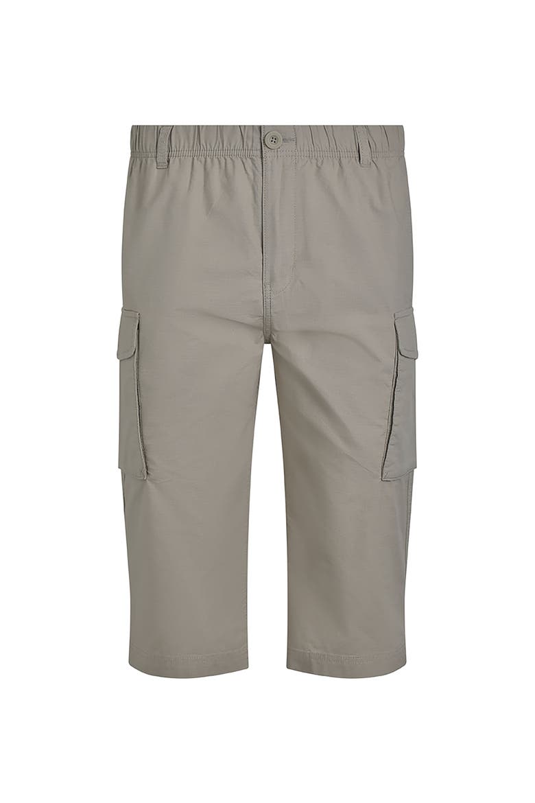 Summersville 3/4 Length Cargo Trousers, Alternate, color, Flint Stone