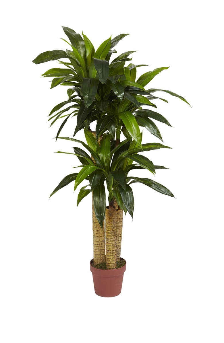 NEARLY NATURAL 4ft. Corn Stalk Dracaena Silk Plant - Real Touch, Main, color, 