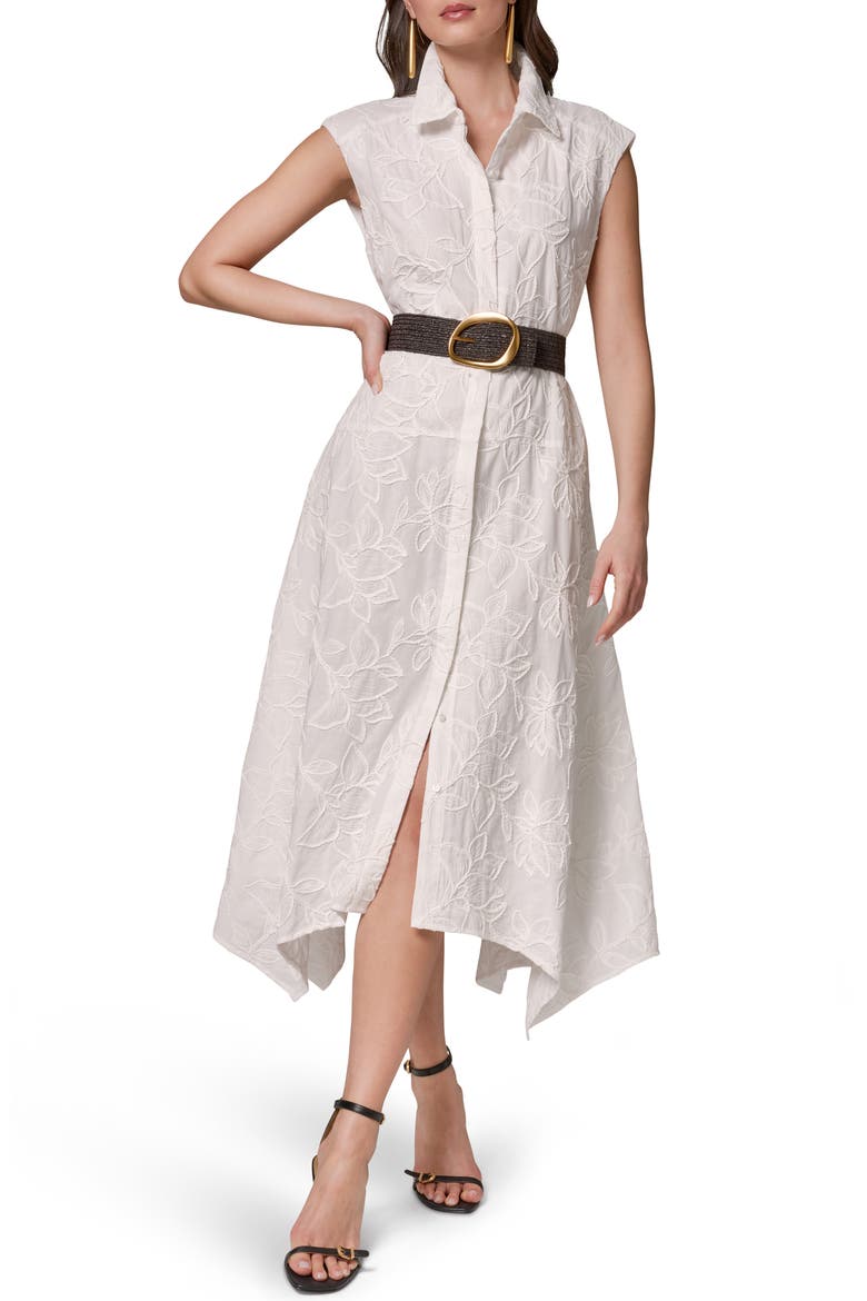 Embroidered Belted Sleeveless Dress, Alternate, color, CREAM
