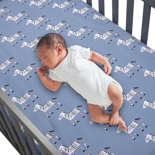 Lambs & Ivy Signature Zebra Organic Cotton 2-pack Fitted Crib Sheets In Blue