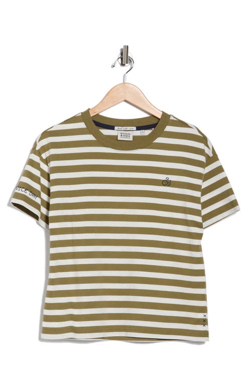 Scotch & Soda Boxy Yarn Dye Stripe T-shirt In Green
