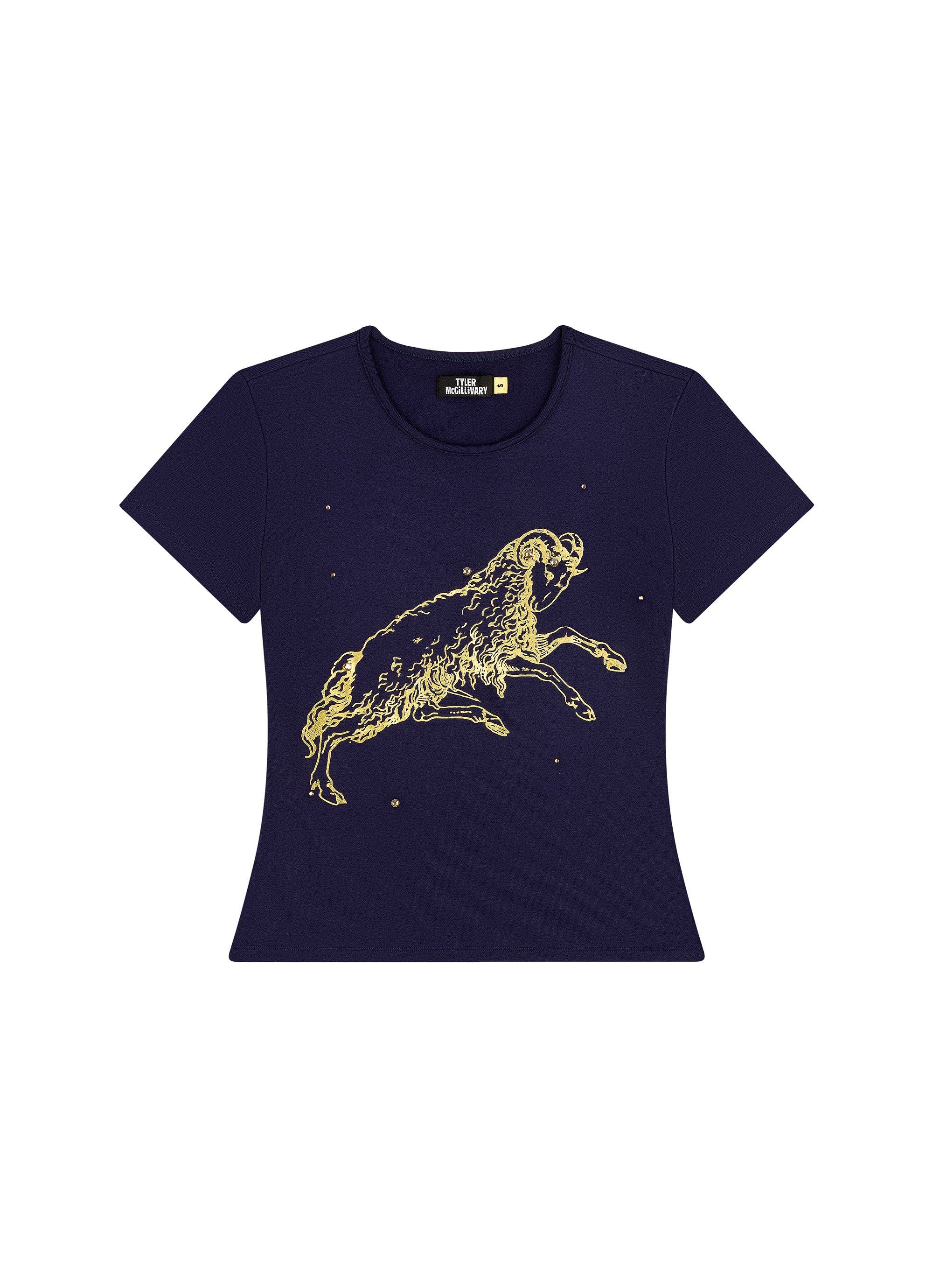 selected Aries