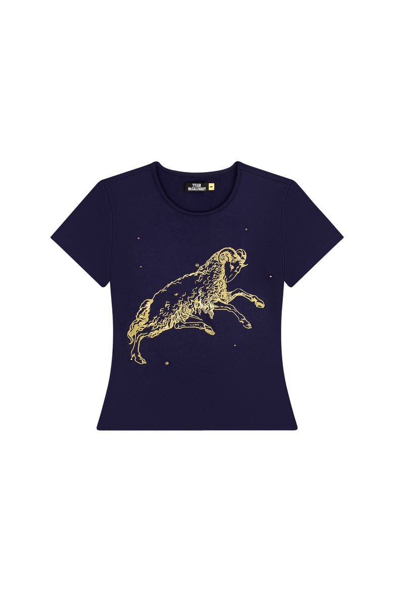 Aries Horoscope Tee, Main, color, Aries