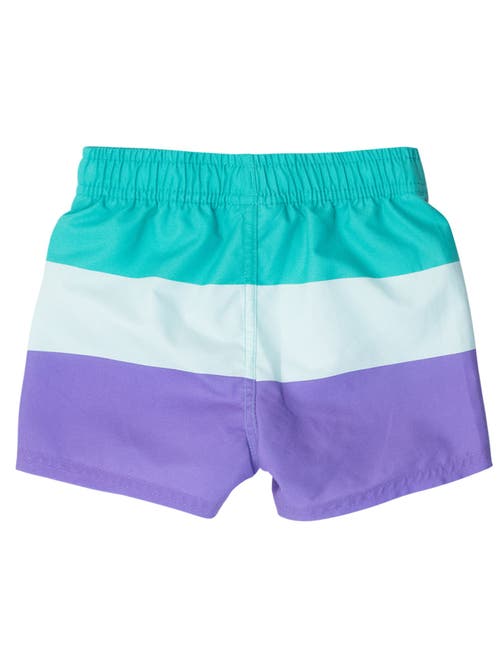 Ruggedbutts Toddler Boys Upf50+ Swim Trunks In Multi