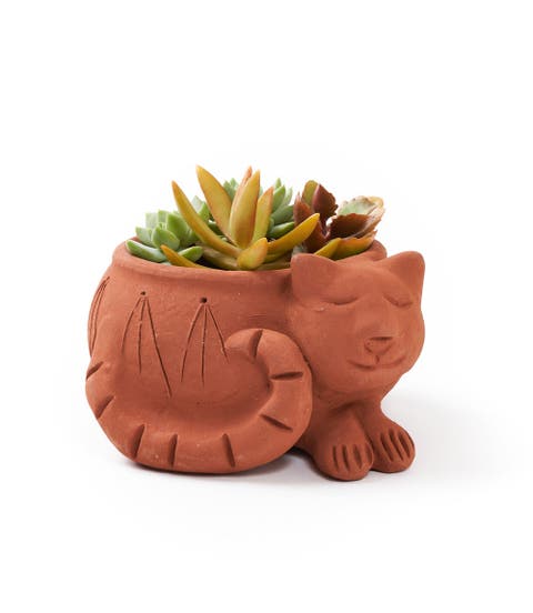Rakshana Plant Pot
