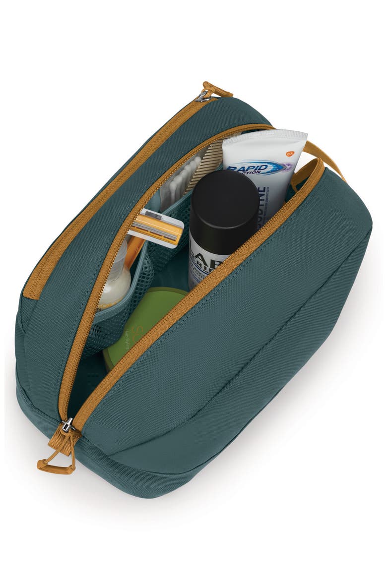 Daylite Toiletry Kit, Alternate, color, TORRENT BLUE-BARLEY BROWN