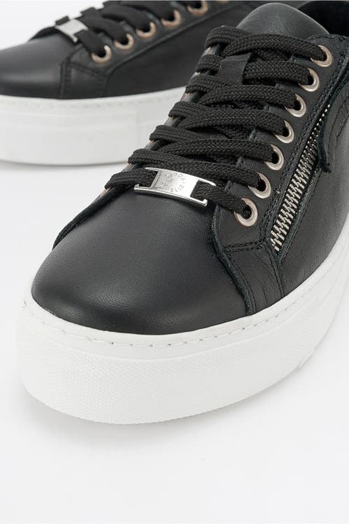 Forever & Always Shoes Beryl Leather Zip Sneaker In Black Leather