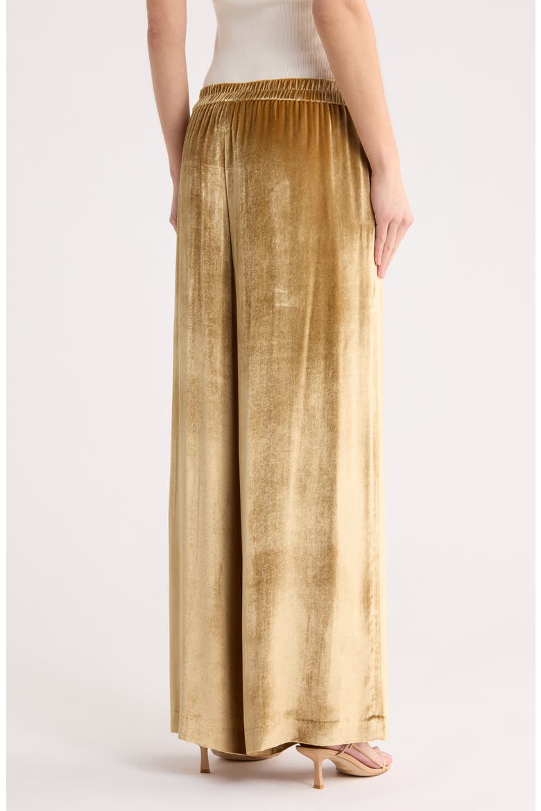 Eva Wide Leg Pants, Alternate, color, LIGHT CAMEL