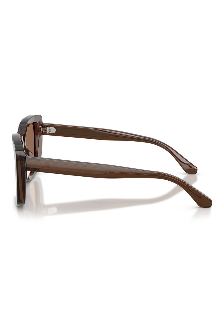 54mm Cat Eye Sunglasses, Alternate, color, SHINY BROWN / DARK BROWN
