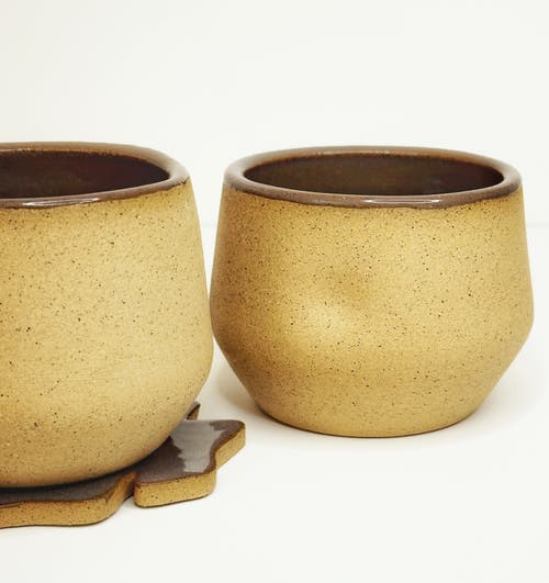 Mikkarbo Freckles Cups