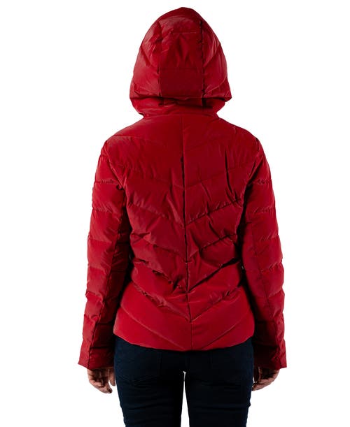 Woodpecker Robin Medium Weight Coat In Red