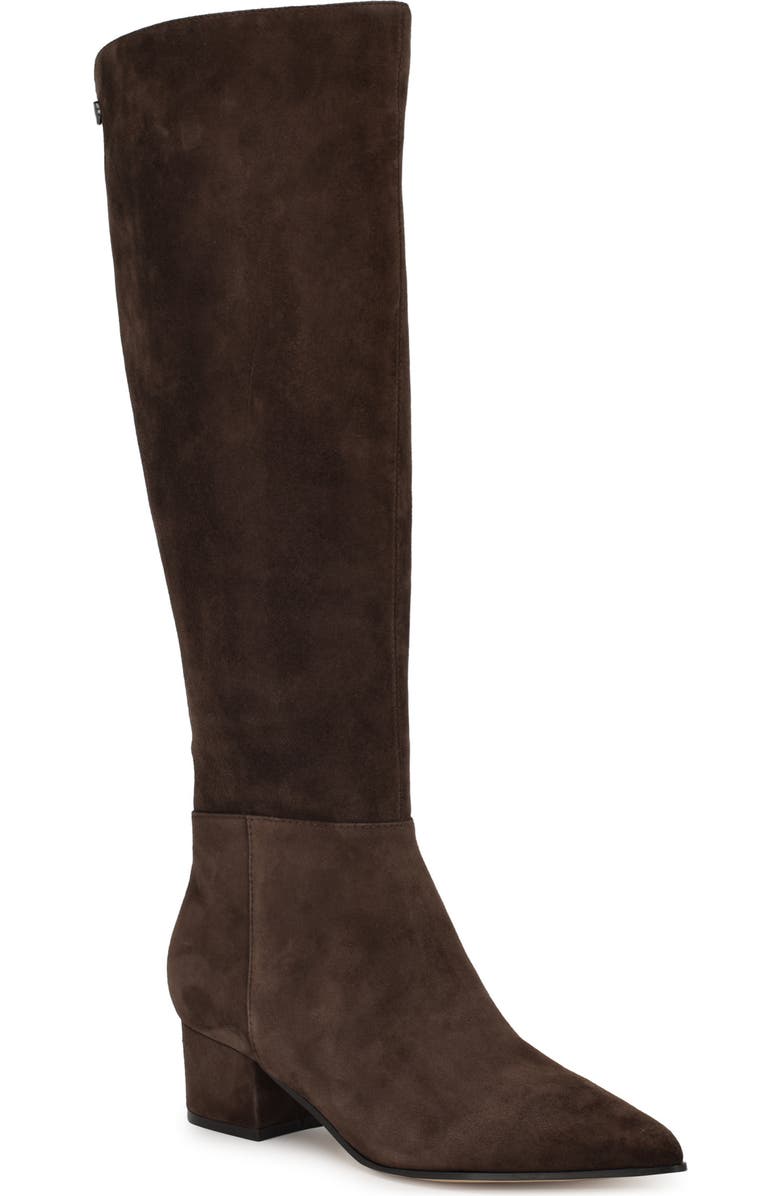Nine West Morgin Pointed Toe Knee High Boot, Main, color, Dark Suede