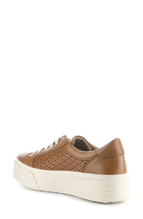 Bos. & Co. Lotta Platform Sneaker In Rich Tan