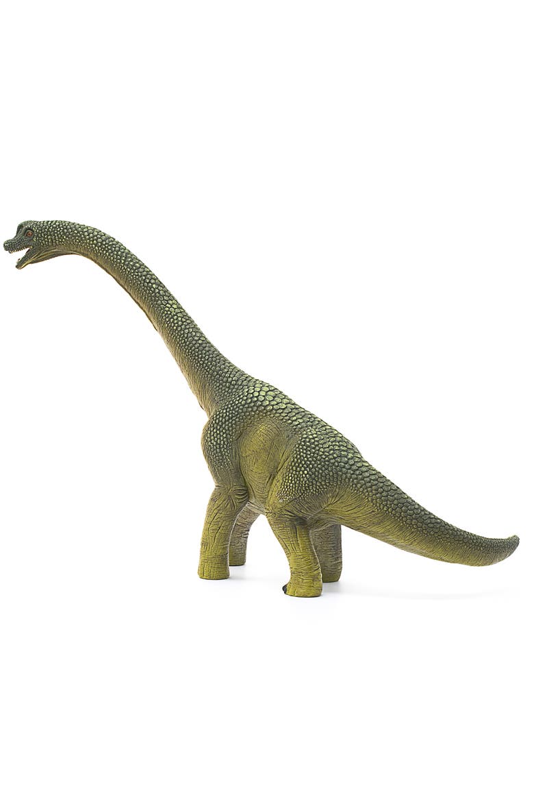 Brachiosaurus  9.6" Dinosaur Action Figure, Realistic Dino Collectible, Kids, Alternate, color, Multicolored