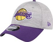 New Era Men's New Era Heather Gray/Purple Los Angeles Lakers Active Digi-Tech Two-Tone 9FORTY Adjustable Hat