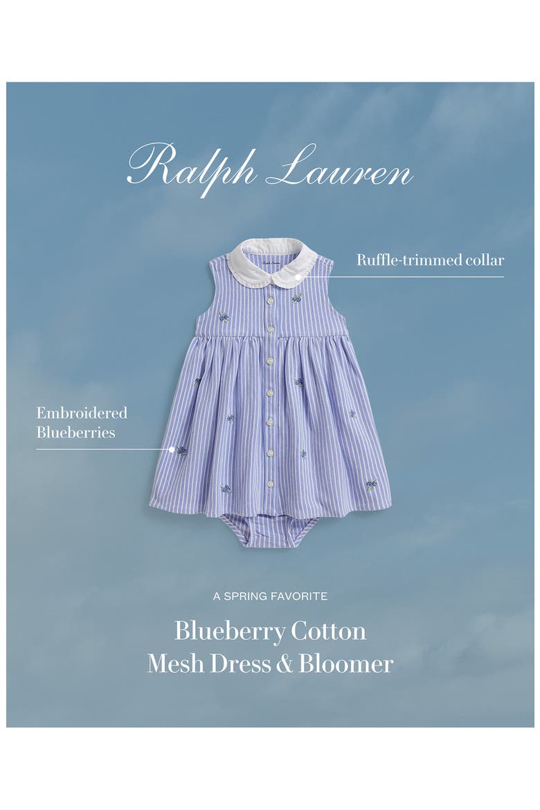 Blueberry Oxford Cotton Dress & Bloomers Set, Alternate, color, HRBR BLUE