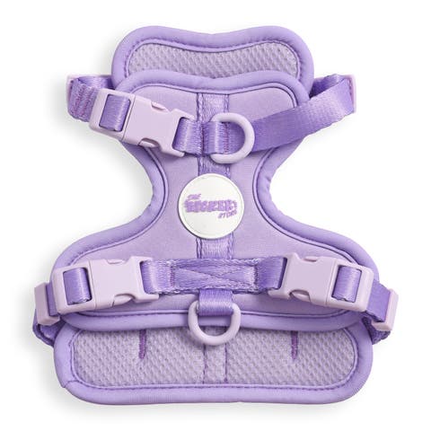 Arlo Adjustable Soft Padded No Pull Pet Harness with 3 Buckles and 3 Leash Clips